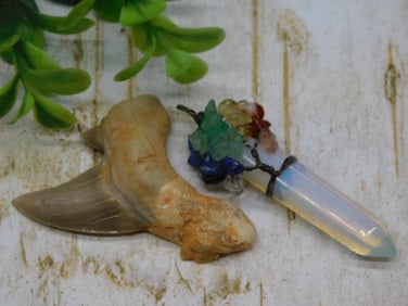 MIXED LOT ROCK STONE LAPIDARY SPECIMEN