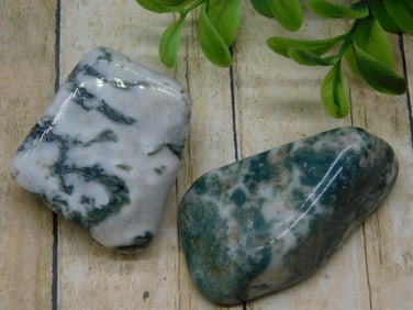 TREE AGATE ROCK STONE LAPIDARY SPECIMEN