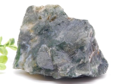 MOSS PLUME AGATE ROCK STONE LAPIDARY SPECIMEN