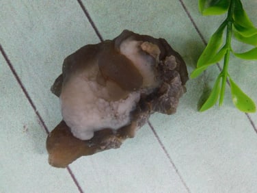 ROCK STONE LAPIDARY SPECIMEN