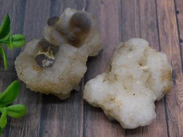 BOTRYOIDAL CHALCEDONY ROCK STONE LAPIDARY SPECIMEN