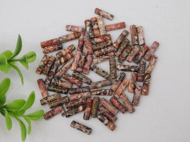 Polished Fossil Coral Cylinder Beads, Mixed Colors