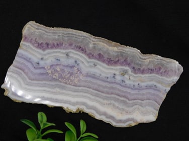 Polished Purple Banded Agate Slice