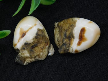 Polished Freeform Stones for Gem Enthusiasts