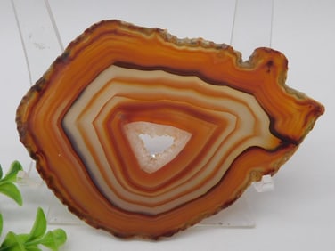 Polished Brown and White Agate Slice