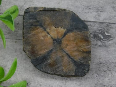 Andalusite Cross Stone Specimen