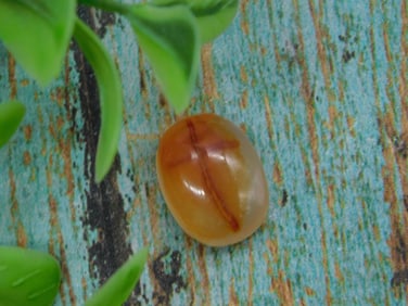 Polished Gemstone with Amber Tones