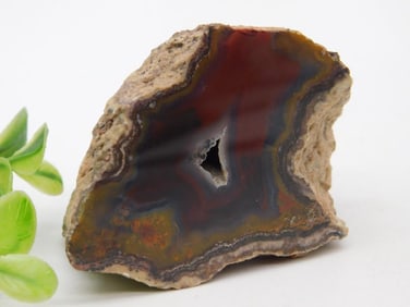 Polished Agate Geode Slice With Natural Hues