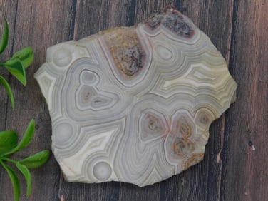 Mexican Lace Agate Slice, 48 Grams