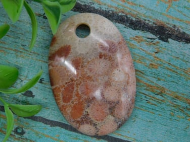 Oval Fossilized Coral Pendant With Hole