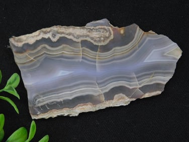Polished Banded Agate Slab With Striking Pattern
