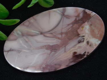 Oval Polished Stone Specimen with Multi-Tone Patterns