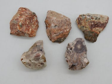 RHYOLITE ROCK STONE LAPIDARY SPECIMEN