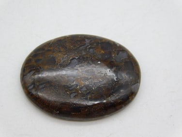 DINOSAUR BONE CABOCHON ROCK STONE LAPIDARY SPECIMEN