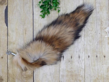 RED FOX TAIL TAXIDERMY