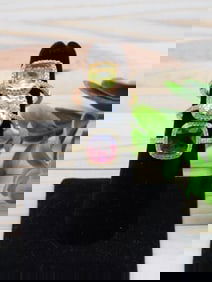 STONE RINGS SIZE 8 ROCK STONE LAPIDARY SPECIMEN