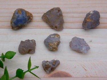 ELLENSBURG AGATE ROCK STONE LAPIDARY SPECIMEN