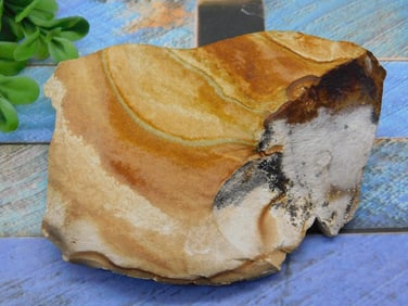 JASPER ROCK STONE LAPIDARY SPECIMEN