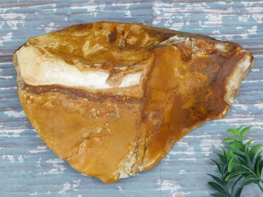 3 POUND JASPER ROCK STONE LAPIDARY SPECIMEN