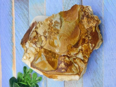 JASPER ROCK STONE LAPIDARY SPECIMEN