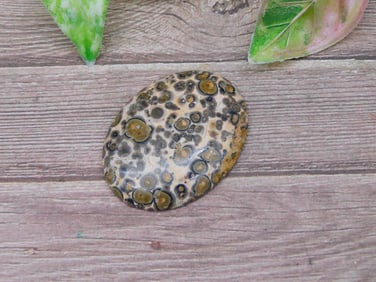 Leopard Jasper Cabochon