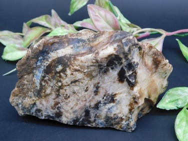 Polished Mineral Rock with Variegated Colors
