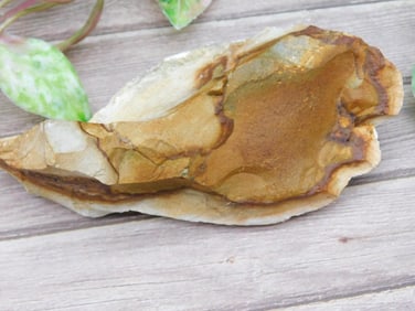Jasper Rock Stone Lapidary Specimen