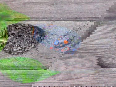 Polished Fordite Cabochon with Colorful Swirls