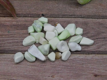 Lemon Chrysoprase Gemstones Weighing 123 Grams