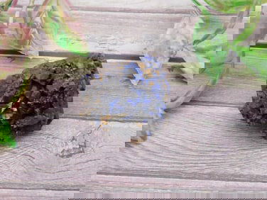 Azurite Mineral Specimen with Rich Blue Crystals