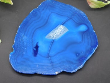 Blue Agate Slice with Polished Surface