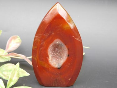 Polished Agate Geode with Center Druzy Crystal Display Piece