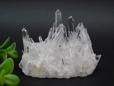 Clear Quartz Crystal Cluster Specimen