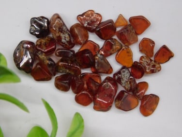 12 Grams of Carnelian Polished Stones