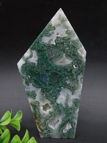 Moss Agate Polished Freeform Display Stone