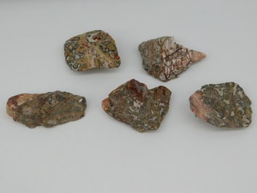 LEOPARD SKIN JASPER ROCK STONE LAPIDARY SPECIMEN