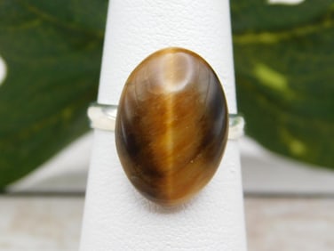 CATS EYE RING ROCK STONE LAPIDARY SPECIMEN