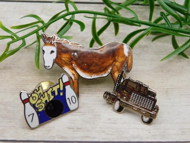 MIXED PINS