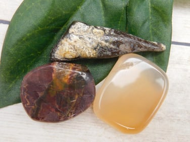 MIXED AGATE LOT ROCK STONE LAPIDARY SPECIMEN