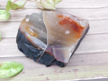 Rough Stone with Multicolor Veins, Lot 313