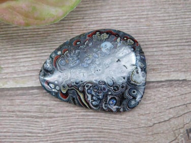Polished Freeform Fordite with Multicolored Layers