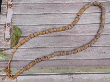 String of Beads with Natural Wood Texture
