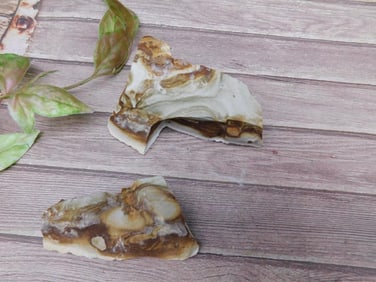 Jasper Rock Stone Lapidary Specimen
