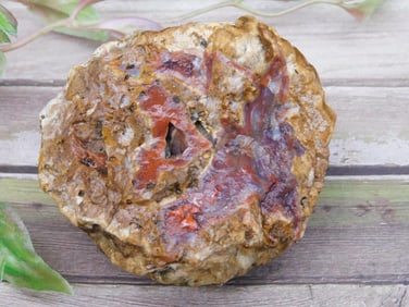 Rough Rock Specimen With Red and Tan Features