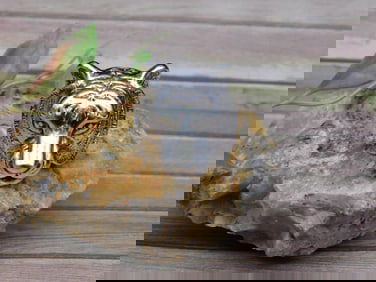 Silver-Toned Tiger Head Ring, Size 7.5