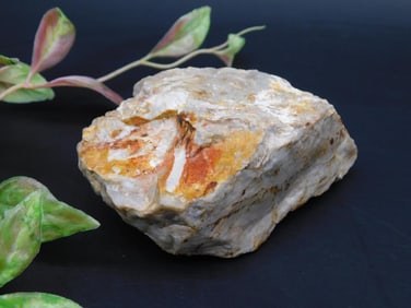 Rock Specimen With Varied Colors and Texture