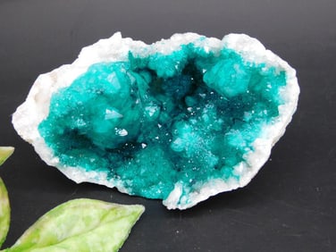Quartz Geode With Vibrant Teal Crystals