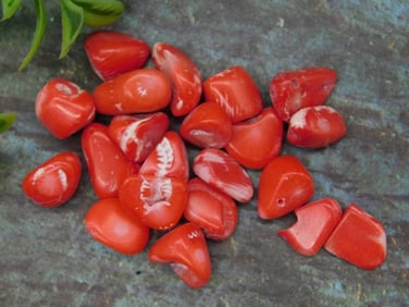 Collection of Red Polished Coral Pieces