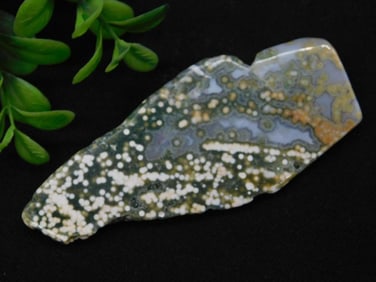 Polished Ocean Jasper With Unique Spot Pattern