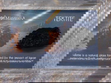 Tektite Specimen in Protective Case with Informational Card